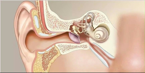 mmexport1672325106674