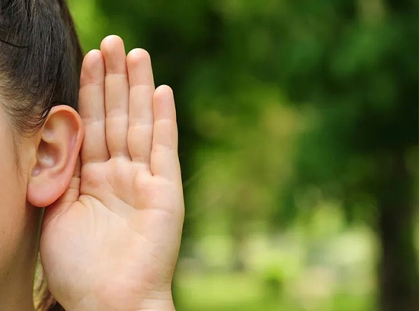 640.webp (4) 640.webp (4)