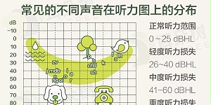 为何能听见狗吠，却不听到蝉鸣？教你判断你能听到哪些声音