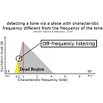 什么是偏频听力或非频听力？