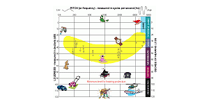如何看懂言语图谱和真耳分析结果？