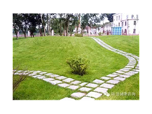 耳鸣的声音治疗