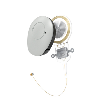 声桥是如何工作的？