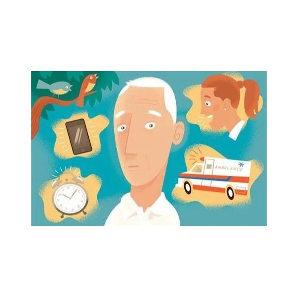 哪些因素对语言理解有影响?