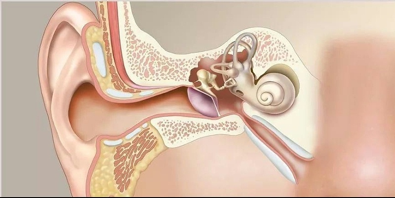 mmexport1672325106674