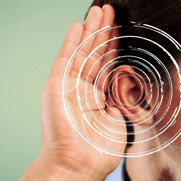 不同声音对听觉系统的影响有什么不同？