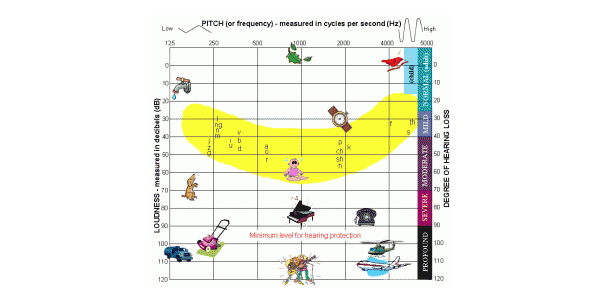 如何看懂言语图谱和真耳分析结果？