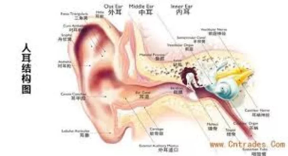 640.webp (1) 640.webp (1)