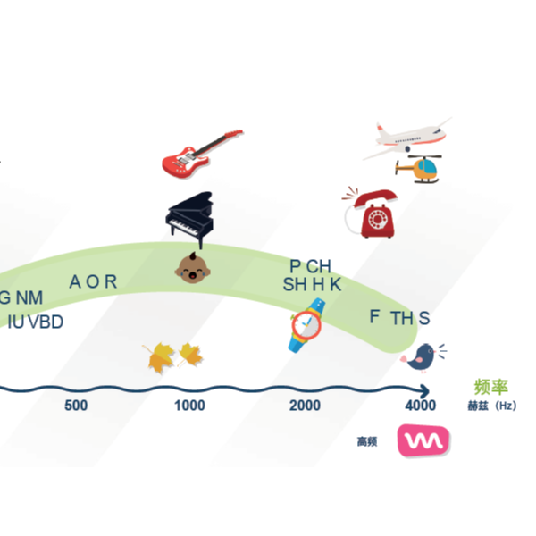 电子耳蜗电极数量和间距对言语识别的影响？