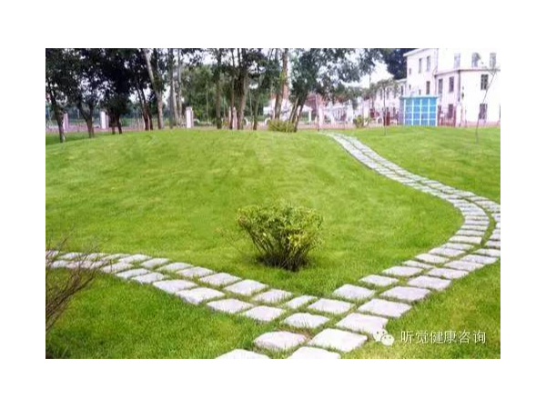 耳鸣的声音治疗