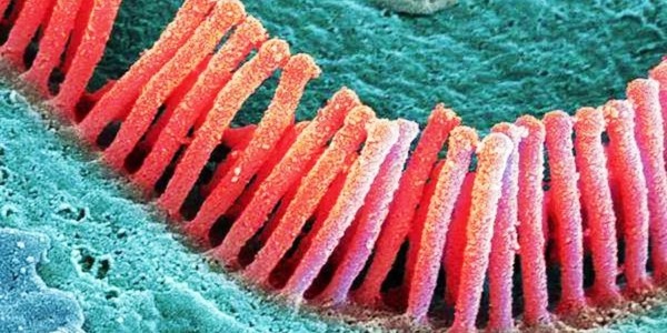 4“保护”+1“改善”，听力健康的5个方法